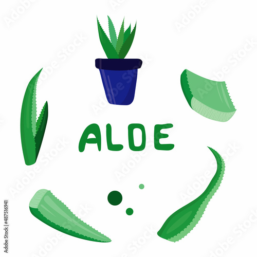 aloe set