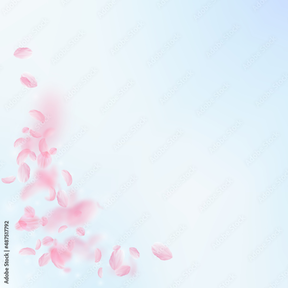 Sakura petals falling down. Romantic pink flowers corner. Flying petals on blue sky square background. Love, romance concept. Sightly wedding invitation. Sakura petals falling down. Romantic pink flowers corner. Flying petals on blue sky square background. Love, romance concept. Sightly wedding invitation.