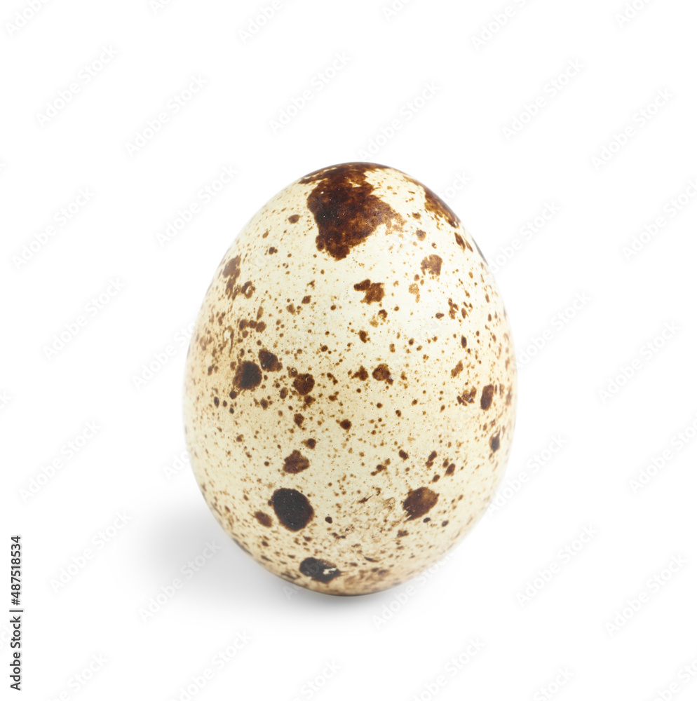 One beautiful quail egg isolated on white One beautiful quail egg isolated on white