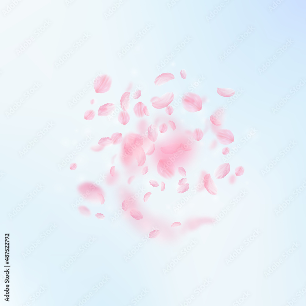 Sakura petals falling down. Romantic pink flowers explosion. Flying petals on blue sky square background. Love, romance concept. Enchanting wedding invitation.