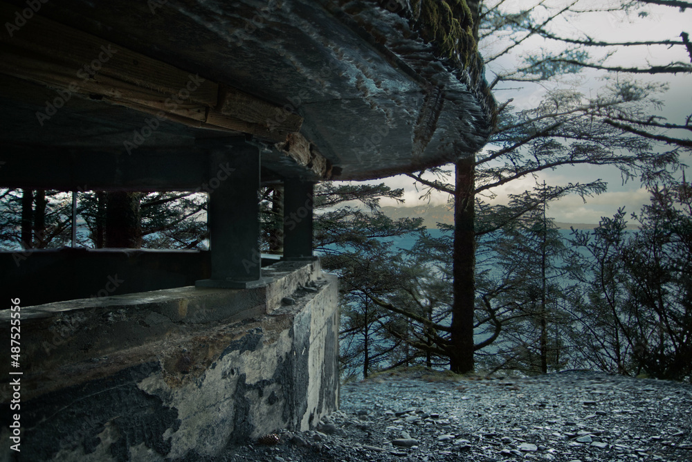 Obraz na plátně World War II bunker overlooking a cliff in Alaska, hidden amongst the trees