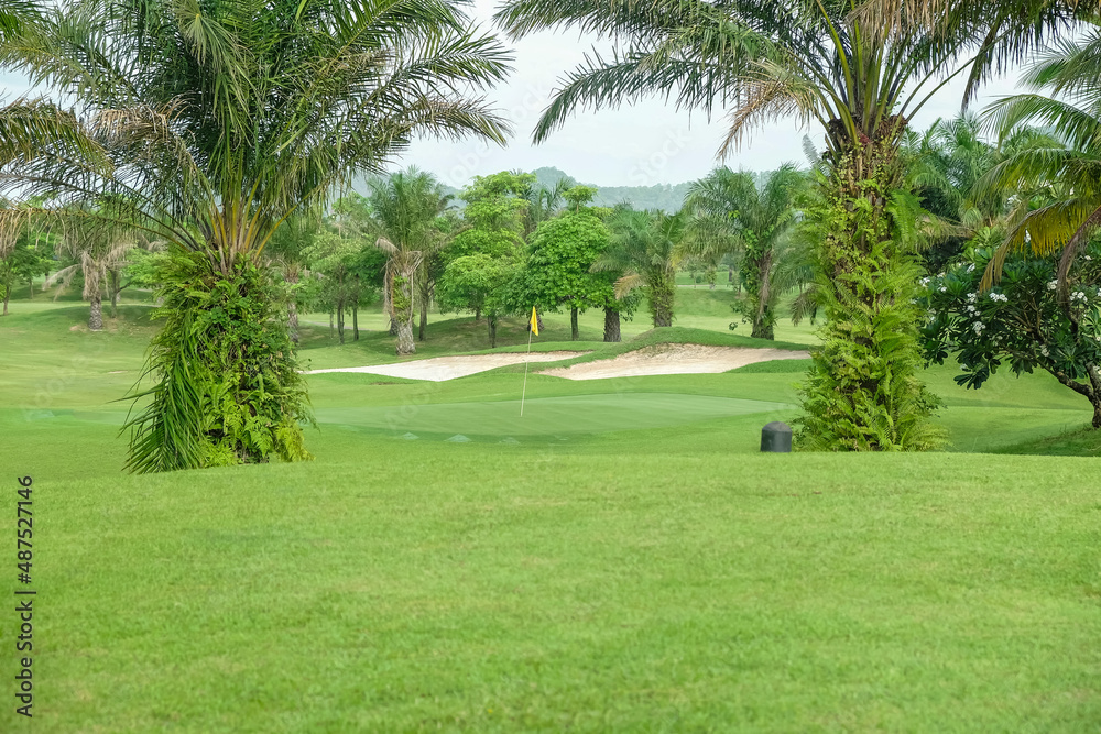 Obraz premium palm trees in the golf course