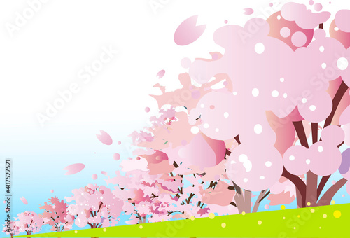 満開の桜の花の続く川沿いの並木道