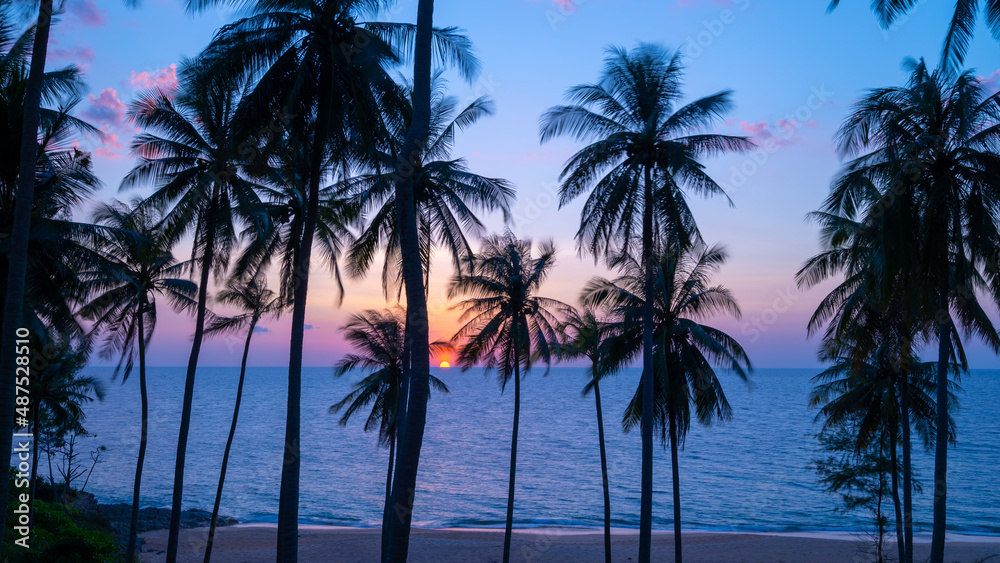 Silhouette coconut palm trees at sunset or sunrise sky over sea Amazing light nature colorful landscape Beautiful light nature sky and clouds