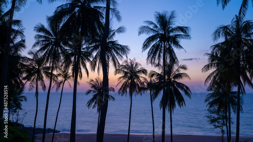 Silhouette coconut palm trees at sunset or sunrise sky over sea Amazing light nature colorful landscape Beautiful light nature sky and clouds © panya99