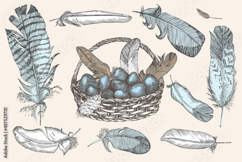Set of Easter eggs and realistic bird feathers. Vintage engraving style. Engraved folk style. Greeting card. Line art ester decoration design. Happy holiday banner. Hippity Hoppity Hop Vector.