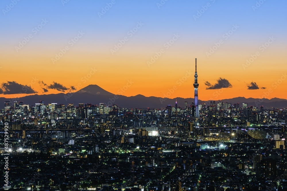 Fototapeta premium トワイライト東京