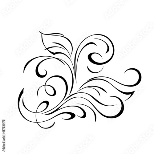 Fototapeta Naklejka Na Ścianę i Meble -  decorative element with stylized leaves and curls. graphic decor