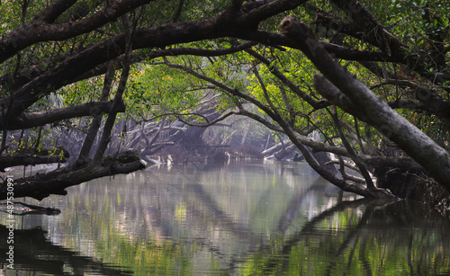 Canvas Print A canal in Sundarbans
