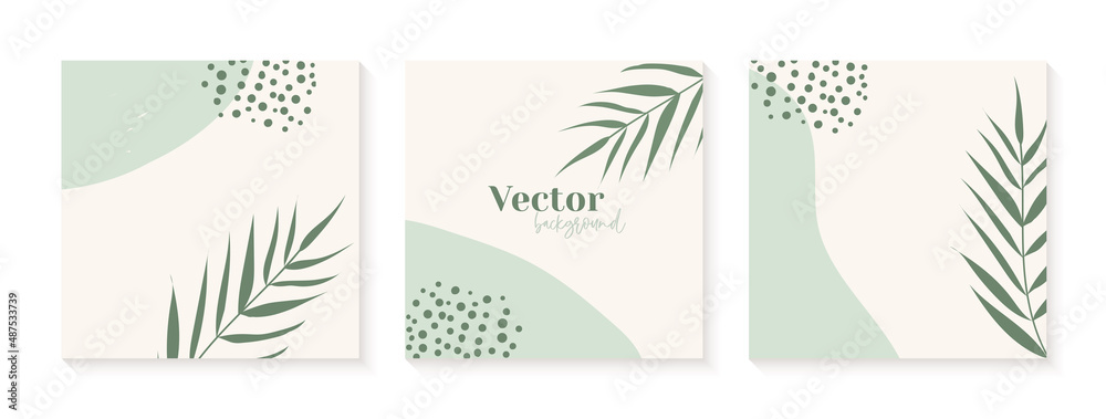 Minimal instagram post templates in green colors. Abstract organic shapes floral background. Social media template