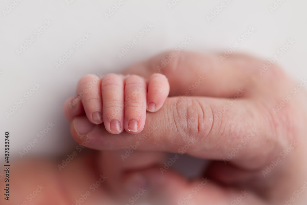tiny baby newborn feet and fingers in mothers hands tiny baby newborn feet and fingers in mothers hands