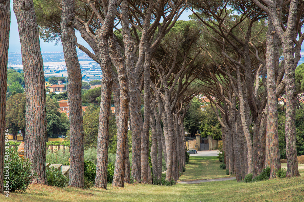 I giardini delle Ville Pontificie a Castel Gandolfo I giardini delle Ville Pontificie a Castel Gandolfo
