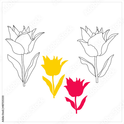 Vector Tulip Black White Line Pattern Design Textile Paper Advertising. 