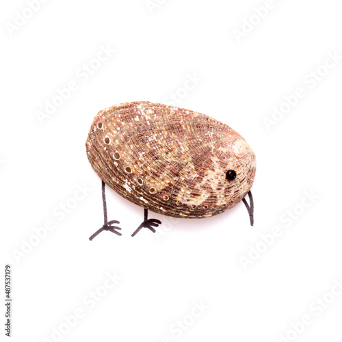 funny little birds made of a green ormer shell, with sketchily drawn legs and beak, 
and an eye made of a seed bead, isolated on white background photo