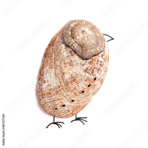 funny little birds made of a green ormer shell, with sketchily drawn legs and beak, 
and an eye made of a seed bead, isolated on white background photo