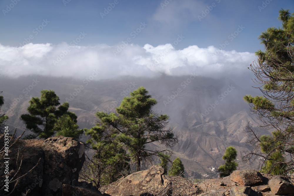 Gran Canaria, landscape of the mountainous part of the island in the Nature Park Tamadaba, 
hiking route to Faneque, the tallest over-the-sea cliff of Europe
