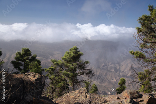 Gran Canaria, landscape of the mountainous part of the island in the Nature Park Tamadaba, 
hiking route to Faneque, the tallest over-the-sea cliff of Europe photo