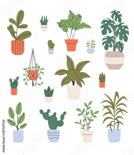 Collection hand drawn home plants elements for your design
