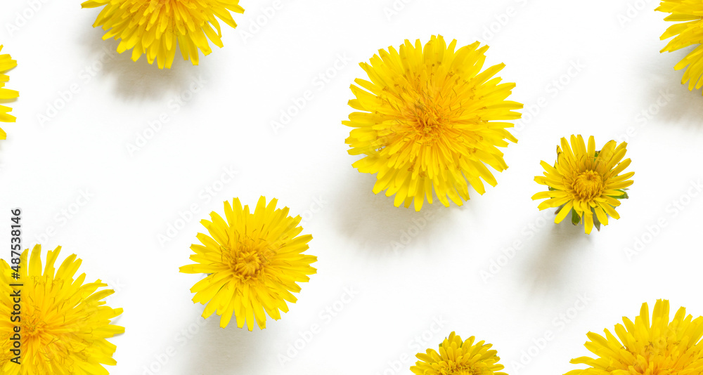 Dandelion background material. タンポポの背景素材	
