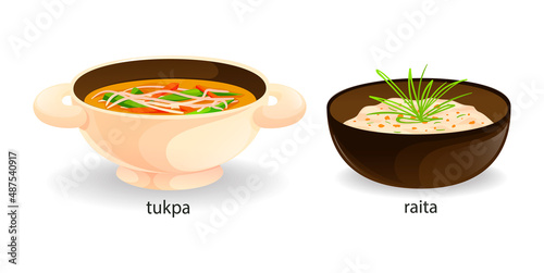 Traditional indian dish tukpa, raita sauce vector
