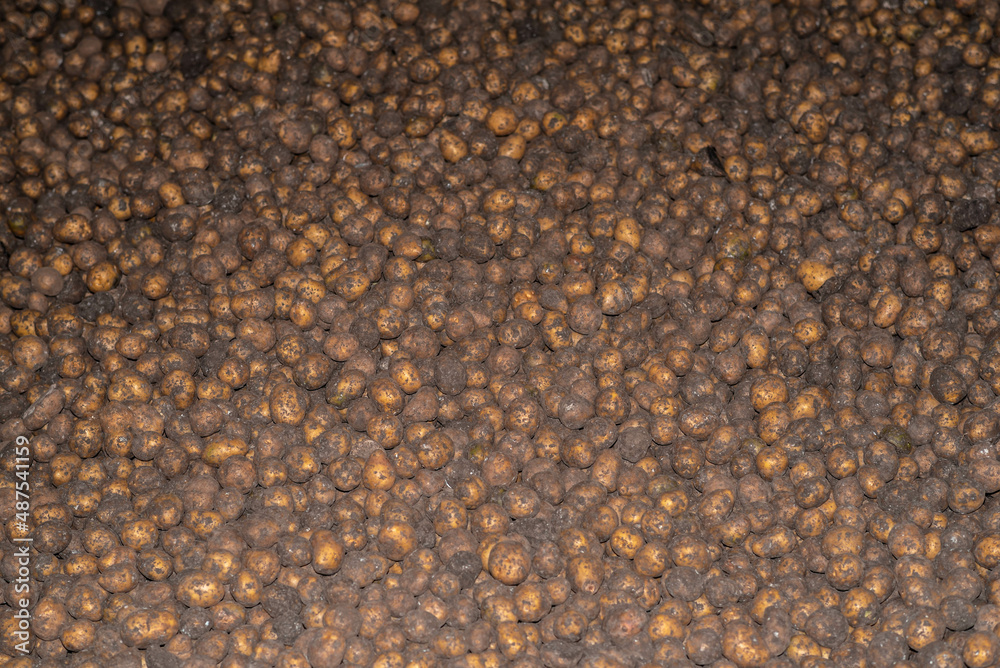 potatoes in storage potatoes in storage