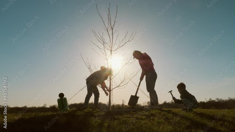Silhouettes of teamwork of a young woman with her children caring for a planted tree in nature at sunny day