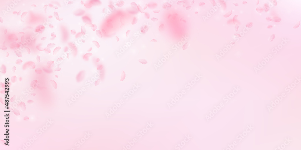 Sakura petals falling down. Romantic pink flowers falling rain. Flying petals on pink wide background. Love, romance concept. Optimal wedding invitation.