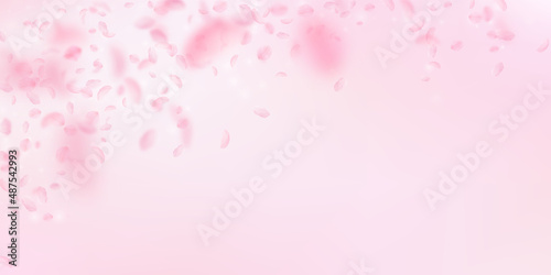 Sakura petals falling down. Romantic pink flowers falling rain. Flying petals on pink wide background. Love, romance concept. Optimal wedding invitation.