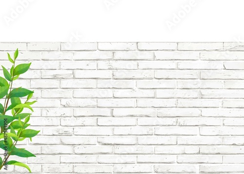 新緑と白いレンガのアンティークなおしゃれ白バック壁紙背景素材
