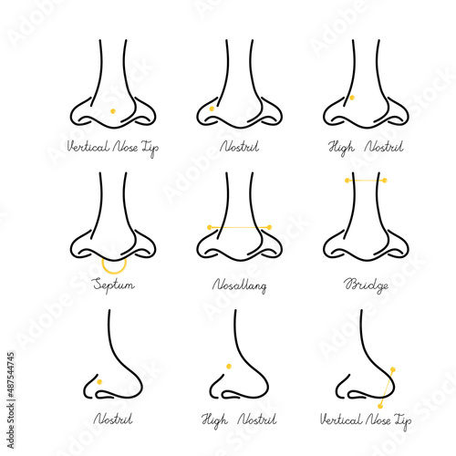 International body piercing day. Iicons set type of nose jewelry. vector Line art face illustration.