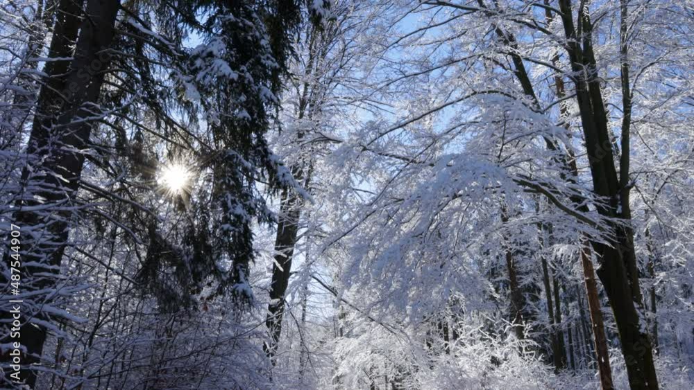 A curved mountain country road in the middle of the snowy forest A curved mountain country road in the middle of the snowy forest