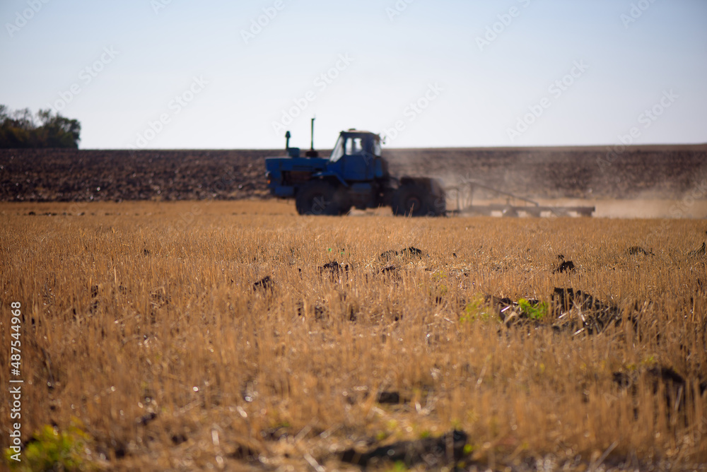 Fototapeta premium the tractor plows the field in autumn