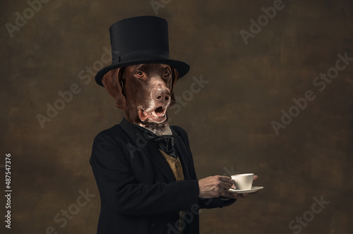 Fotografie Gentleman