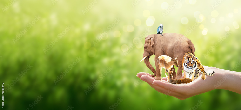World Wildlife Day or Earth Day concept. Group of wild animals in human hand on green background with copy space. Save our planet, protect nature and endangered species, biological diversity theme. - obrazy, fototapety, plakaty 