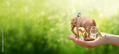 World Wildlife Day or Earth Day concept. Group of wild animals in human hand on green background with copy space. Save our planet, protect nature and endangered species, biological diversity theme. photo