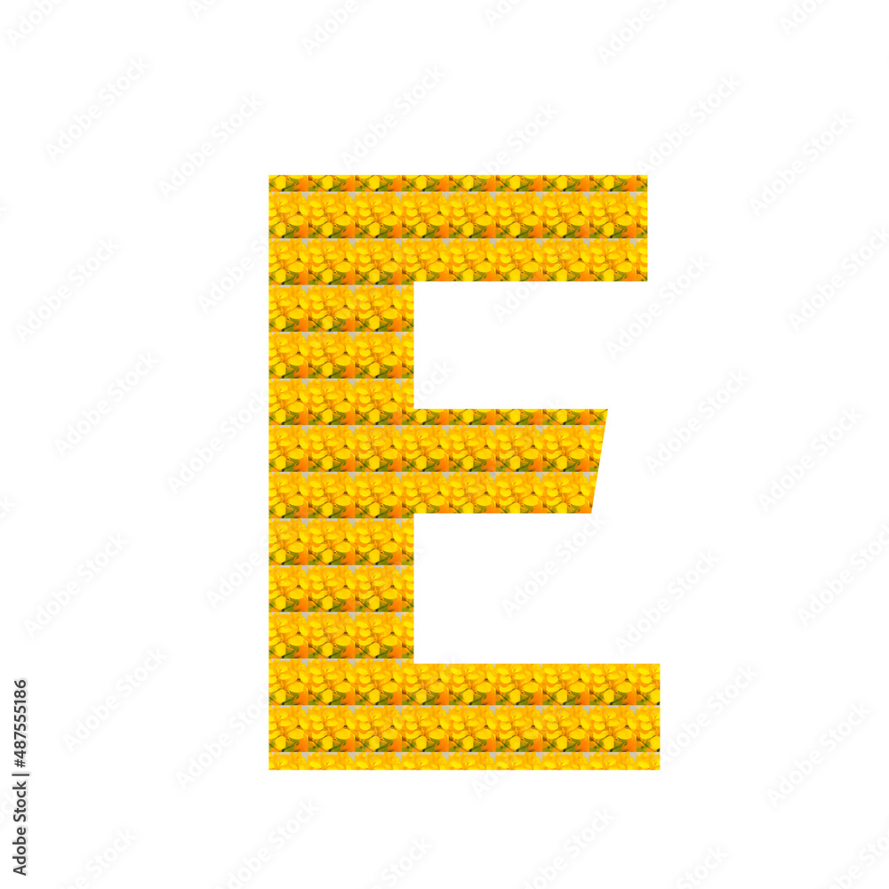 Letter E in the form of yellow mustard flower isolated on white. Alphabet. Letter E in the form of yellow mustard flower isolated on white. Alphabet.