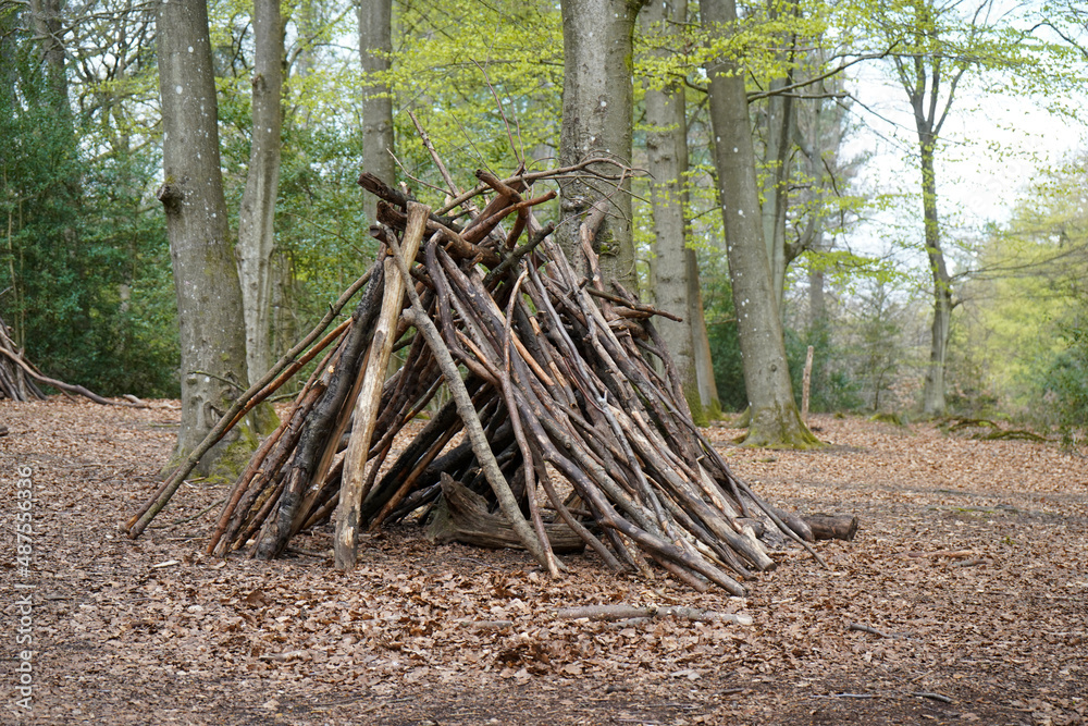 Camp in the woods made of logs and sticks Camp in the woods made of logs and sticks