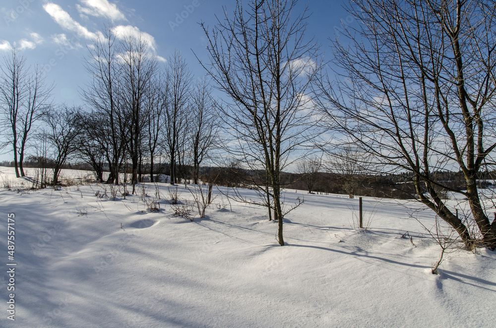 Fototapeta premium Zimowy krajobraz 