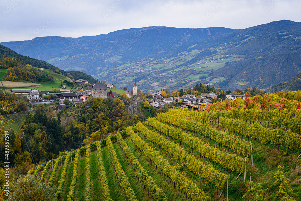 Autumn beautyfull and colored with wine Autumn beautyfull and colored with wine