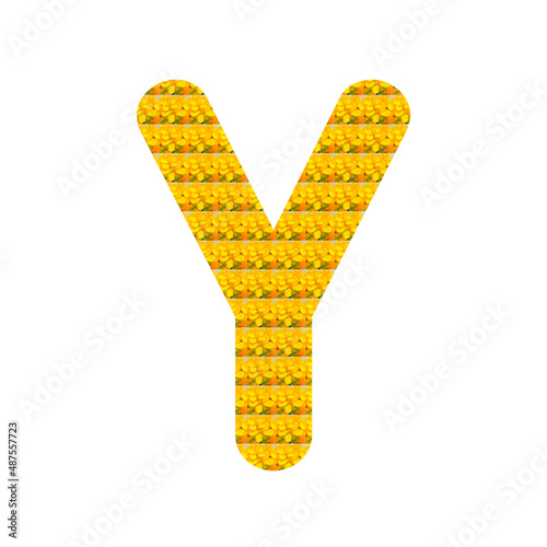 Letter Y in the form of yellow mustard flower isolated on white. Alphabet. photo
