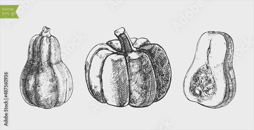 Black and white engraved pumpkin set. Vector illustration