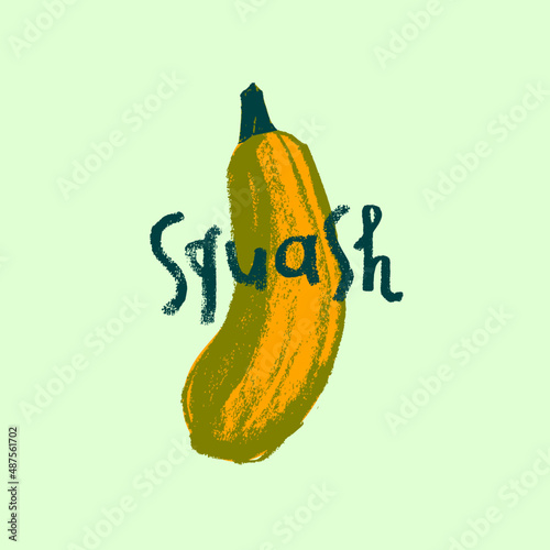 Vector zucchini icon isolated. Hand drawn vegetable squash drawing, cocozelle illustration. Vegetarian restaurant logo. Botanical sign. Vegetable insignia for organic food label. Home cooking courses.
