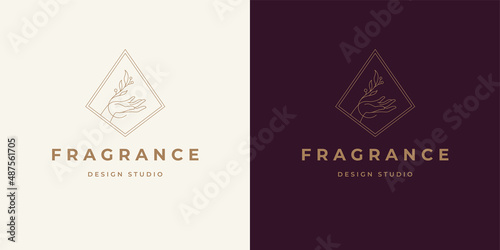 Hand with branch and leaves near logo emblem design template vector illustration in minimal line art style