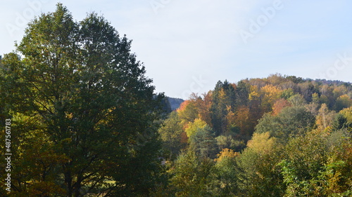 Fototapeta Naklejka Na Ścianę i Meble -  Dahn_007
