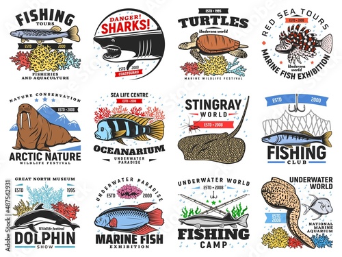 River and ocean fishes, sea animals icons set. Pike, cichlid and sterlet, turtle, dolphin and moray eel, lionfish, stingray and shark, walrus retro vector. Fishing and travel tours, exhibition badges