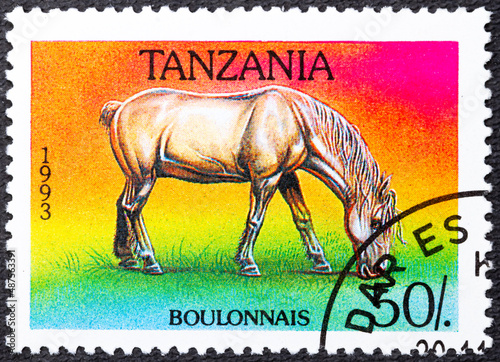 TANZANIA - DISTRICT 1993: A stamp printed in Tanzania shows Boulonnais Equus ferus caballus , Horses serie, circa 1993