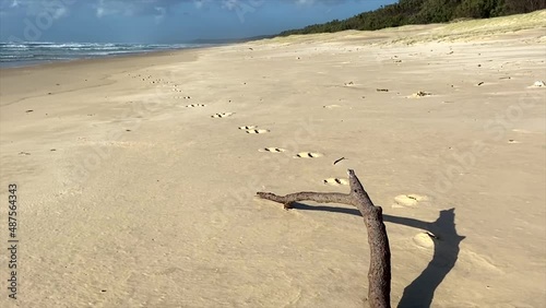 Slow easy crane shot of driftwood on an Australian beach, with distinctive kangaroo tracks in the sand, stretching off into the distance, where white skudding clouds hang over the horizon photo