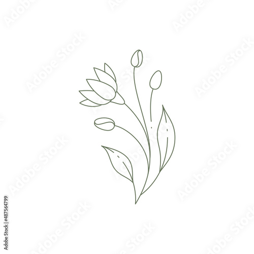 Monochrome line art may lily with bud, stem and leaves elegant wall print design logo vector
