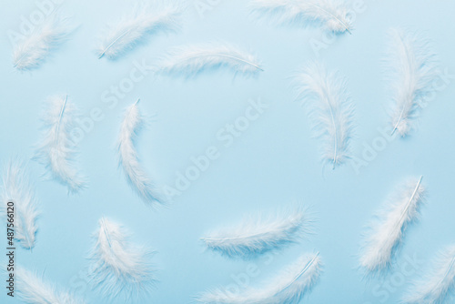 Frame of brightly colored dyed bird feathers on Colored background  top view