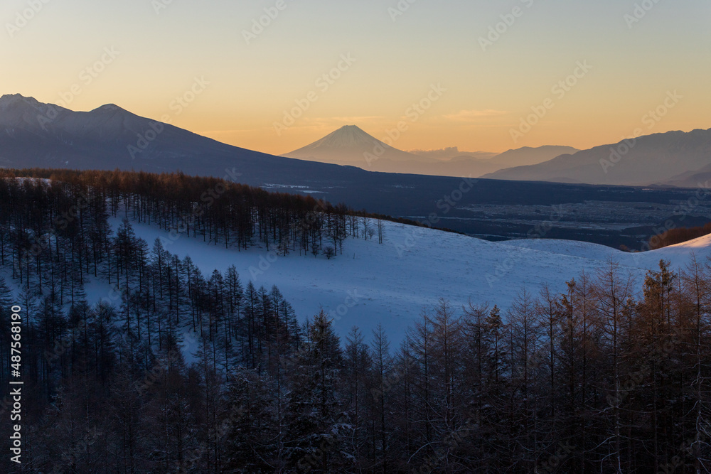 霧ヶ峰高原から夜明けの富士山と木々の霧氷